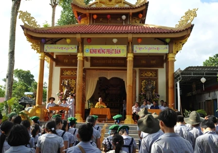 hoitrai4.JPG