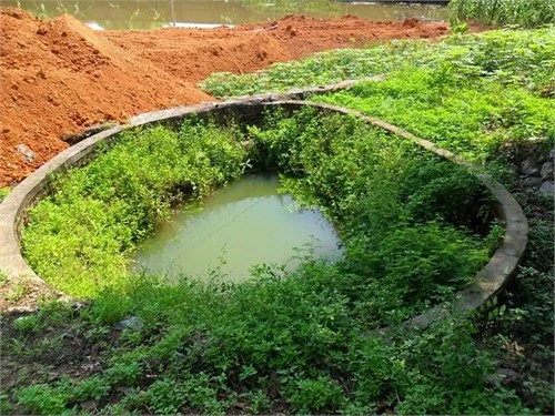 Xót xa ngôi chùa tháp cao nhất Việt Nam thành 'chùa hoang'