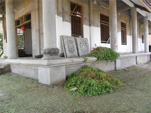 Xót xa ngôi chùa tháp cao nhất Việt Nam thành 'chùa hoang'