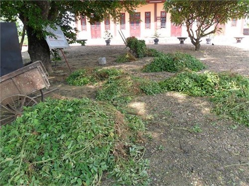 Xót xa ngôi chùa tháp cao nhất Việt Nam thành 'chùa hoang' ảnh 10 Xót xa ngôi chùa tháp cao nhất Việt Nam thành 'chùa hoang'