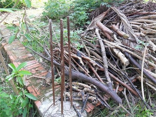 Xót xa ngôi chùa tháp cao nhất Việt Nam thành 'chùa hoang' ảnh 12 Xót xa ngôi chùa tháp cao nhất Việt Nam thành 'chùa hoang'