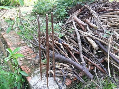 Xót xa ngôi chùa tháp cao nhất Việt Nam thành 'chùa hoang'