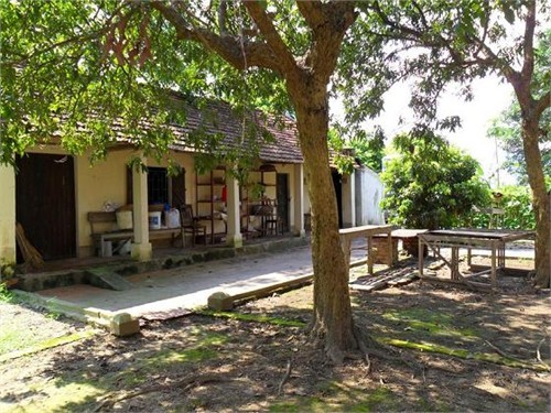 Xót xa ngôi chùa tháp cao nhất Việt Nam thành 'chùa hoang' ảnh 15 Xót xa ngôi chùa tháp cao nhất Việt Nam thành 'chùa hoang'