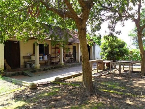 Xót xa ngôi chùa tháp cao nhất Việt Nam thành 'chùa hoang'