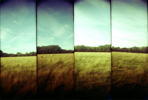 Tặng những nỗi đau ảnh 2