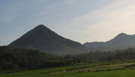 Lại thấy nôn nao hình bóng quê nhà… ảnh 1