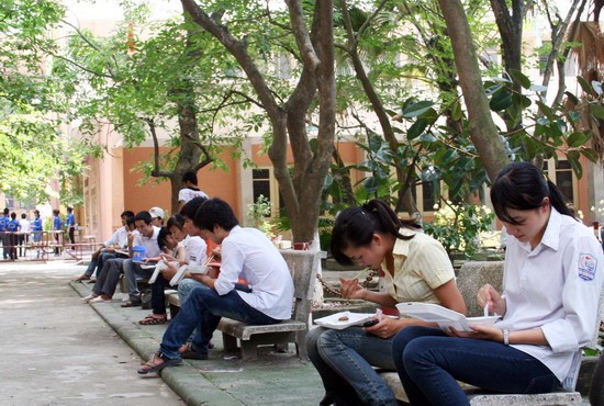 Các thí sinh nhận cơm và ăn dưới các gốc cây Các thí sinh nhận cơm