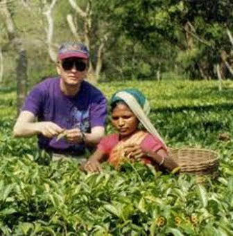 Assam Tea Gardens.jpg