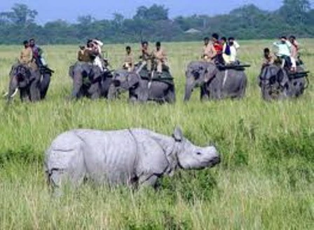Kaziranga National Park.jpg