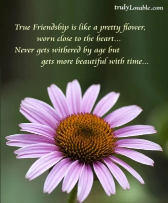 485-true-friendship-is-like.jpg