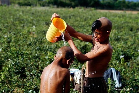 Những chắp vá ngọt ngào ảnh 1 thoi lam tieu.jpg