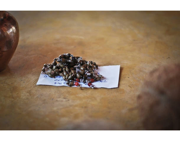 Bạn biết gì về tràng hạt Phật giáo? ảnh 2 than chu va mala.jpg