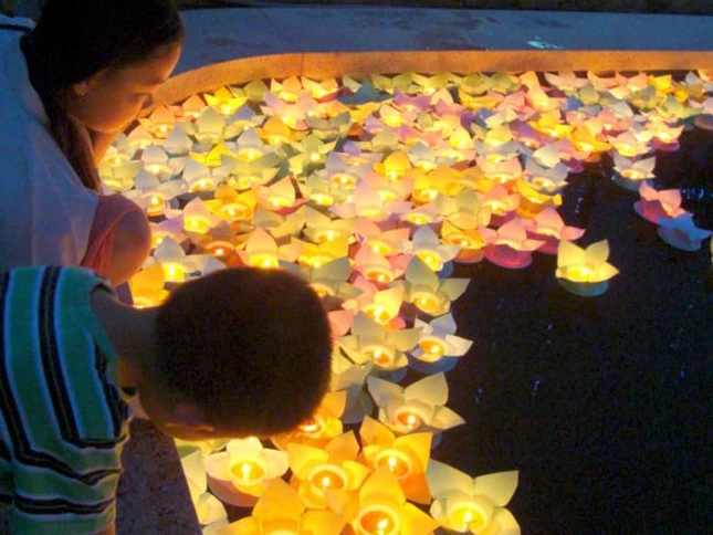 Tiền Giang: Lễ Phóng  đăng và chẩn tế tại tổ đình Vĩnh Tràng ảnh 4