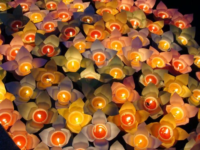 Tiền Giang: Lễ Phóng  đăng và chẩn tế tại tổ đình Vĩnh Tràng ảnh 5