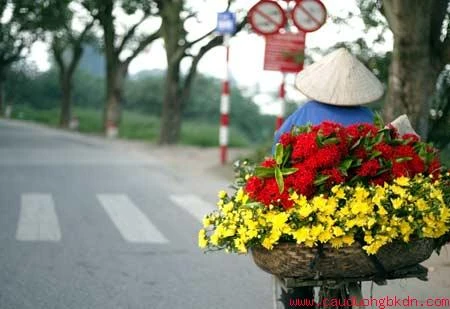 Ngày thu đến ảnh 1 1111muathu.jpg