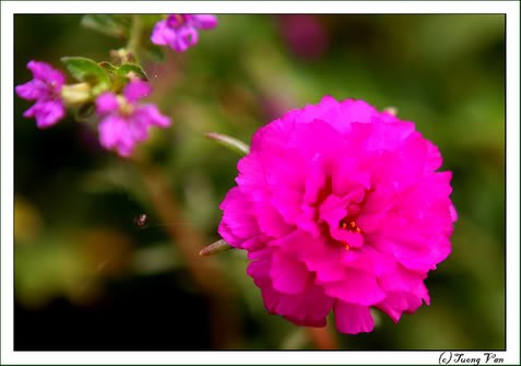 Dâng lời sám hối muộn màng ảnh 1 16492641256615994.jpg