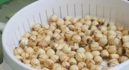 Mát lành, bổ dưỡng sữa hạt sen, Ẩm thực, am thuc, sua, hat sen, do uong, mon ngon, sinh to