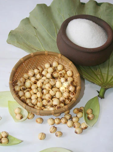 Mát lành, bổ dưỡng sữa hạt sen, Ẩm thực, am thuc, sua, hat sen, do uong, mon ngon, sinh to