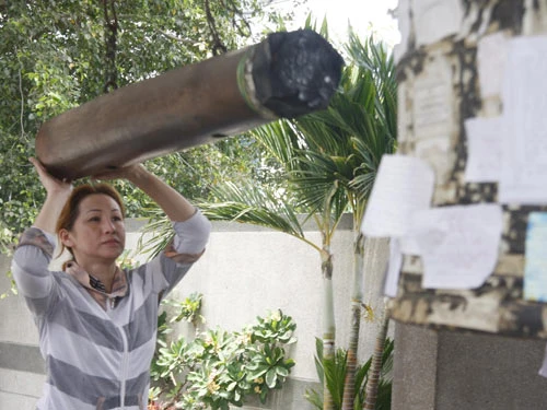 Bông hồng đỏ cho những ai còn mẹ ảnh 2