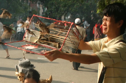 Lên chùa chiêm bái ngày lễ Vu lan ảnh 8