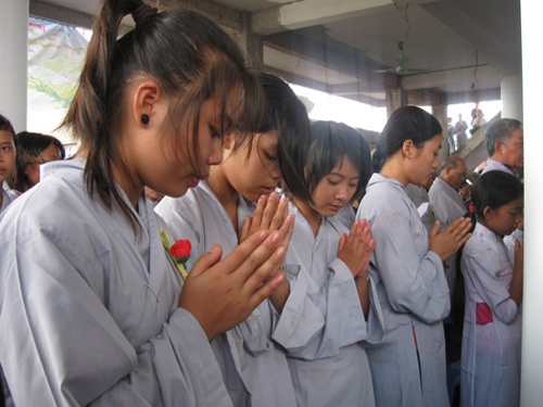 'Tôi hạnh phúc được cài bông hồng đỏ...'