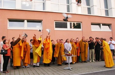 VulanOstrava (1).JPG