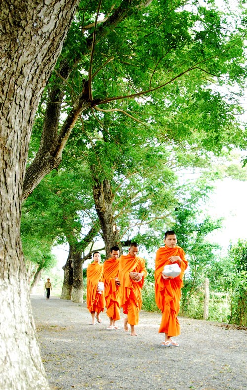 Teen mùa báo hiếu ảnh 4