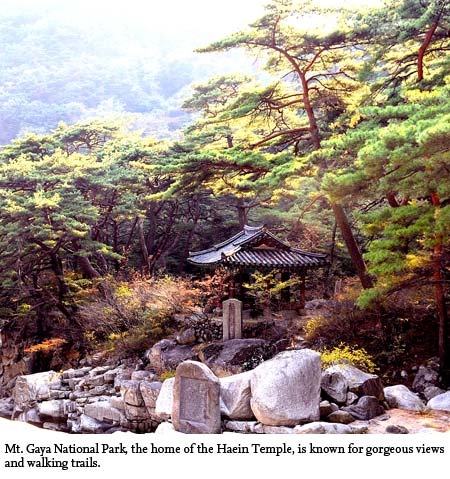 Một góc Vườn quốc gia Gaya.jpg