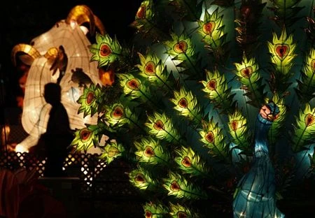 Châu Á nô nức đón mừng Tết Trung thu ảnh 14