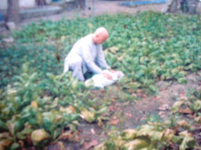 Ngôi chùa gần 30 năm nuôi dạy trẻ bị bỏ rơi ảnh 1 Ngôi chùa gần 30 năm nuôi dạy trẻ bị bỏ rơi ảnh 1