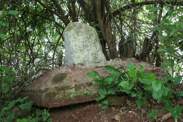 Ấn Độ: Phát hiện một ngôi tháp Phật giáo thời kỳ Kim Cương thừa ảnh 1 Trụ Ayaka của ngôi tháp - Ảnh The Hindu.jpg