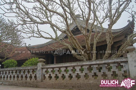 Về thăm Chùa Keo một chiều thu ảnh 12