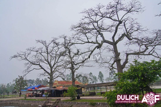 Về thăm Chùa Keo một chiều thu ảnh 3