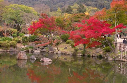 Kyoto huyền thoại, Du lịch, co do Kyoto, du lich, Nhat Ban, hoa anh dao, dao Honshu