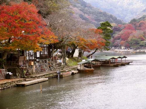 Kyoto huyền thoại, Du lịch, co do Kyoto, du lich, Nhat Ban, hoa anh dao, dao Honshu