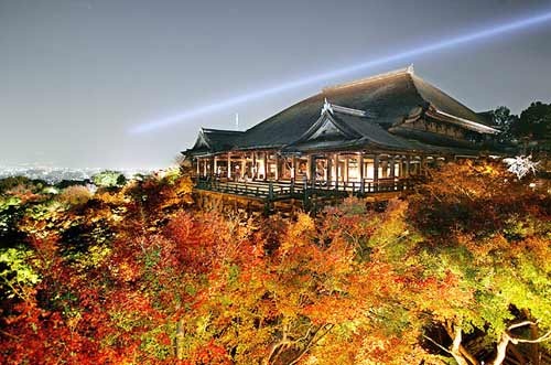 Kyoto huyền thoại ảnh 1 Kyoto huyền thoại, Du lịch, co do Kyoto, du lich, Nhat Ban, hoa anh dao, dao Honshu