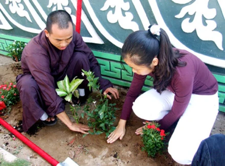 Bước chân an lạc ảnh 9