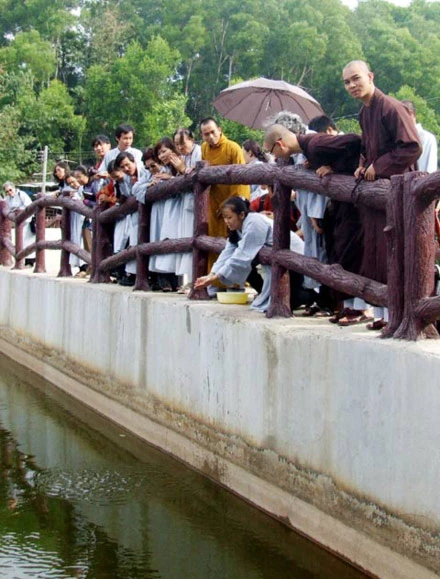 Bước chân an lạc ảnh 11