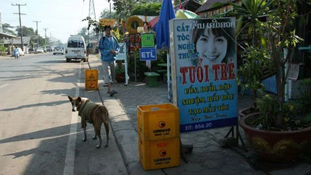 Rực rỡ thành phố "Mặt trăng" ảnh 8