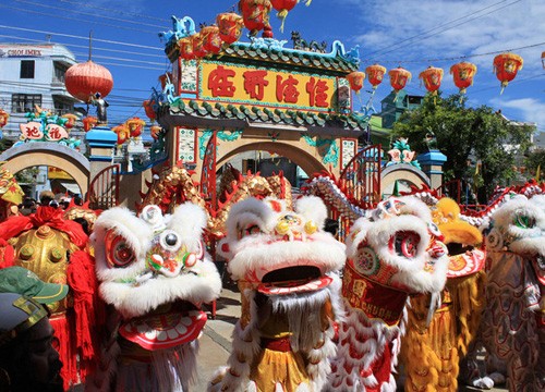 Mỗi một con sư tử cần có 2 người biểu diễn. Múa sư tử thật sự khó hơn những gì chúng ta tưởng tượng. Để trở thành một người múa sư tử chuyên nghiệp, bạn cần 2 năm để tập luyện Cồng chiêng và trống là những đạo cụ không thể thiếu khi biểu diễn múa sư tử Múa sư tử không chỉ là một hoạt động vui chơi giải trí mà nó còn mang nhiều ý nghĩa lớn lao. Một thanh niên đóng vai người huấn luyện sư tử trong một câu chuyện truyền thuyết Những vũ công múa sư tử được huấn luyện từ năm 8 tuổi và thường "giải nghệ" khi bước sang độ tuổi 20 Đoàn múa Kỳ Lân của Phan Thiết chỉ xuất hiện 2 năm một lần tại Lễ hội Nghinh Ông. Với chiều dài 49m, và cần có 22 người biểu diễn, đây là con Kỳ Lân lớn nhất Việt Nam. Bắt nguồn từ văn hóa cổ Trung Quốc, kỳ lân là một loài mang đuôi rắn, mình dê, đầu sư tử Đấu võ gậy cũng bao gồm trong hoạt động múa rồng. Tuy đã rất cẩn thận, nhưng đôi khi hoạt động vui chơi này vẫn gây tai nạn Rồng được coi là biểu tượng của sức mạnh và sự may mắn. Sự kết hợp giữa màu đỏ và màu bạc tượng trưng cho hạnh phúc và sự thịnh vượng Múa rồng là một nghi thức được truyền từ đời cha sang đời con. Anh Trần Văn Vũ (20 tuổi) là thế hệ thứ 4 trong gia đình tham gia hoạt động múa rồng. Anh cũng chính là đội trưởng của đoàn Quảng Đông vì có kinh nghiệm múa rồng lâu nhất Có rất nhiều mẫu trang phục cũng như kỹ thuật biểu diễn khác nhau cho hoạt động múa sư tử ở Việt Nam Múa sư tử ở Việt Nam qua ống kính du khách nước ngoài