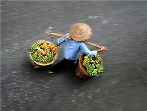 Có bao giờ con nhớ má không? ảnh 1 793420_t.jpg