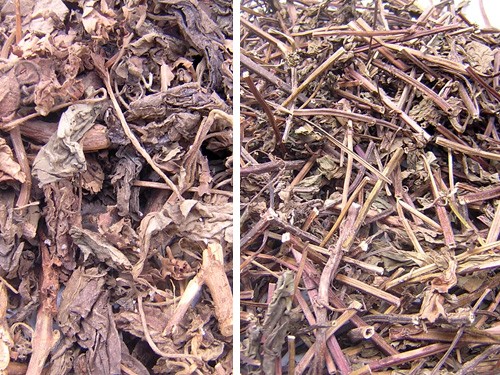 Ăn uống giải cảm ảnh 1 Thuocchongcam.jpg