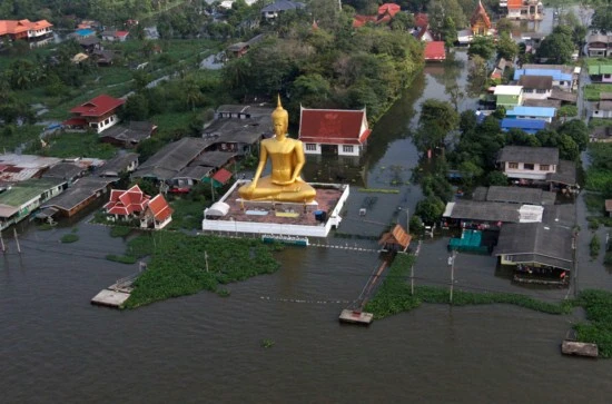 wl9.jpg