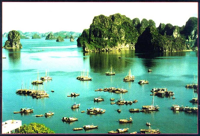 halong (1).jpg