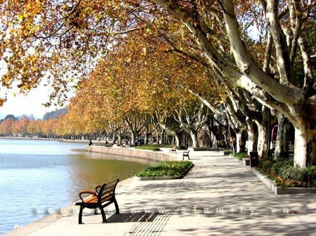 Chín điểm đón thu đẹp nhất Trung Quốc ảnh 1