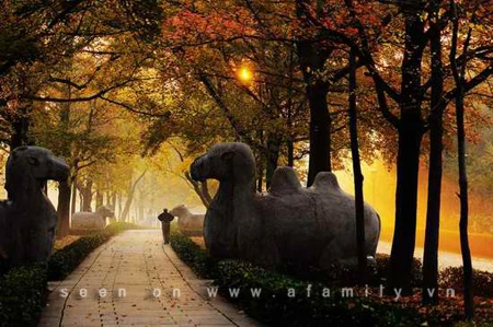 Chín điểm đón thu đẹp nhất Trung Quốc ảnh 2