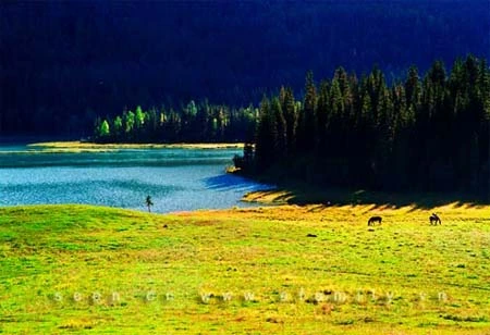 Chín điểm đón thu đẹp nhất Trung Quốc ảnh 6