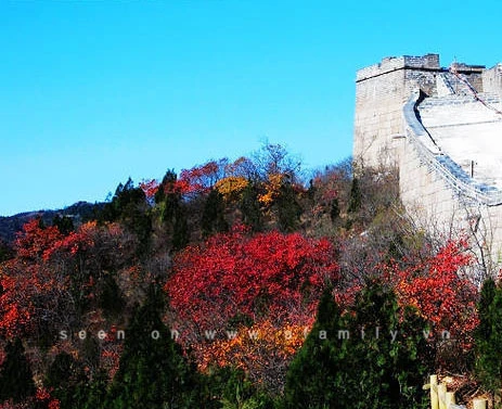 Chín điểm đón thu đẹp nhất Trung Quốc ảnh 9