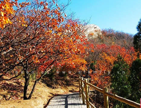 Chín điểm đón thu đẹp nhất Trung Quốc ảnh 10