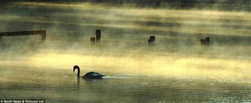 Lung linh "mùa thu ấm" nước Anh ảnh 10